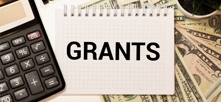 Ventura Capital Group Limited | Grant